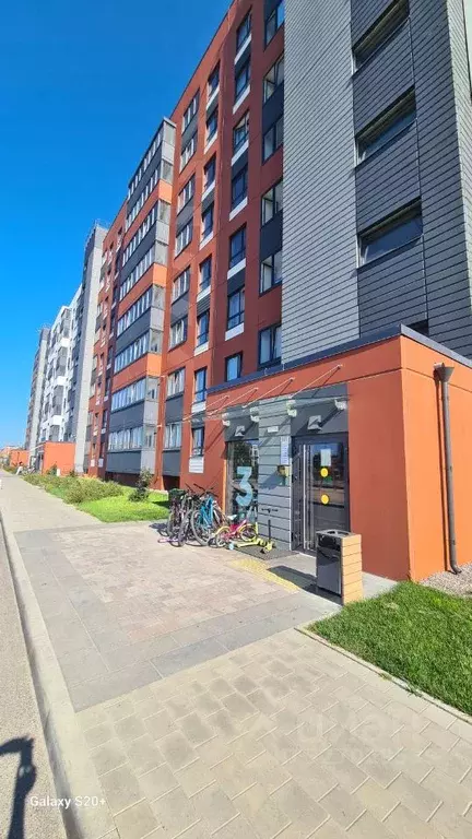 Студия Ленинградская область, Ломоносовский район, Аннинское городское ... - Фото 1