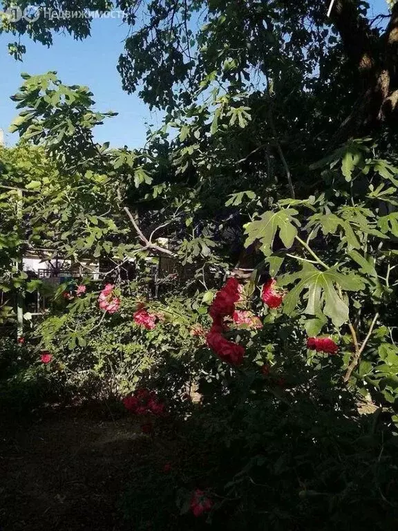 Дом в Коктебель, улица Шершнёва (148 м) - Фото 1