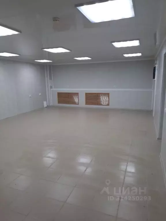 Помещение свободного назначения в Татарстан, Казань ул. Восстания, 21 ... - Фото 1