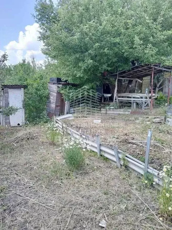 Участок в Воронежская область, Хохольский район, Гремяченское с/пос, ... - Фото 1