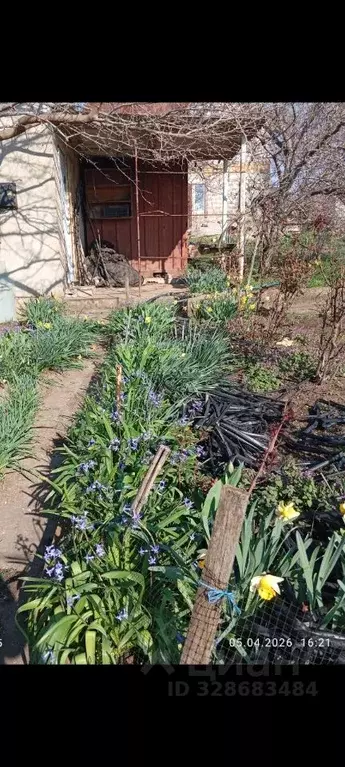 Участок в Крым, Симферопольский район, Трудовское с/пос, Живописное ... - Фото 1