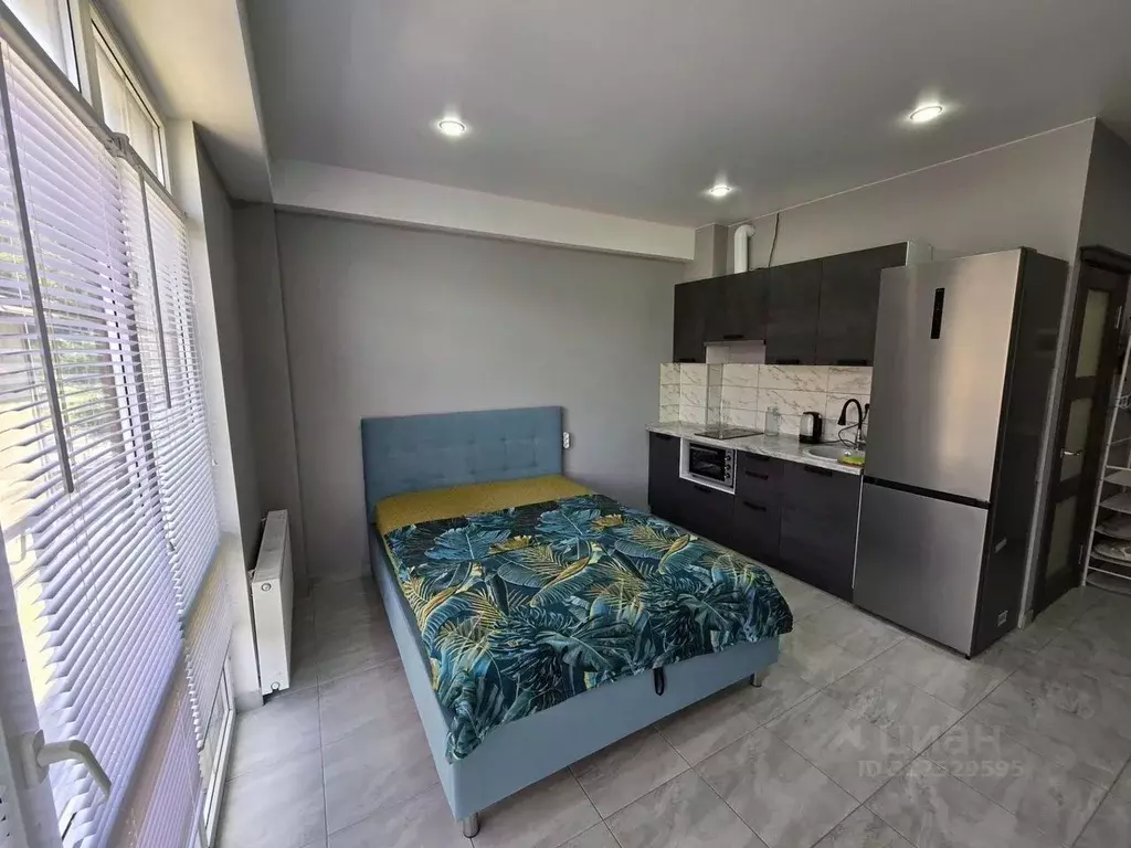 Студия Краснодарский край, Сочи городской округ, с. Черешня ул. ... - Фото 1