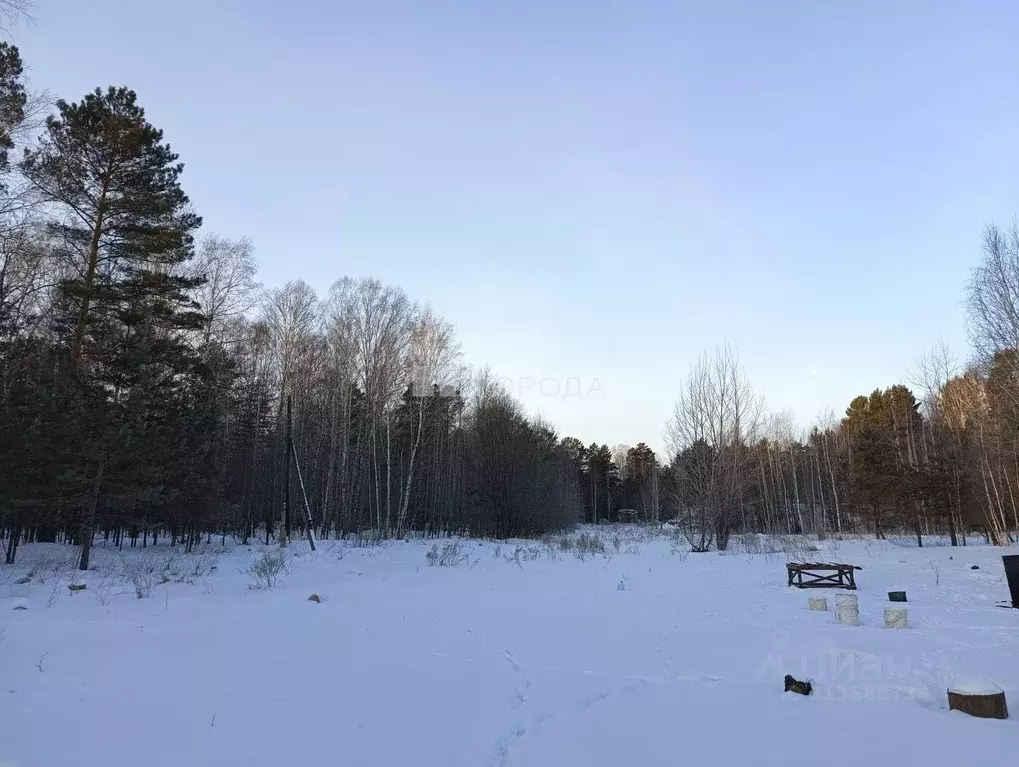 Помещение свободного назначения в Новосибирская область, Новосибирский ... - Фото 1