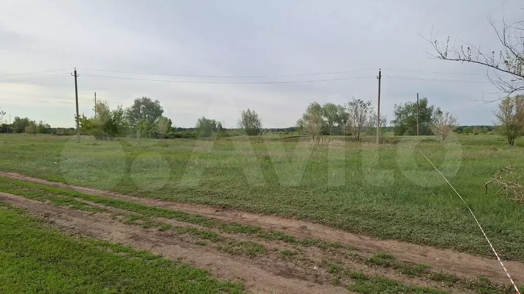 Участок 100 га (ИЖС) - Фото 0