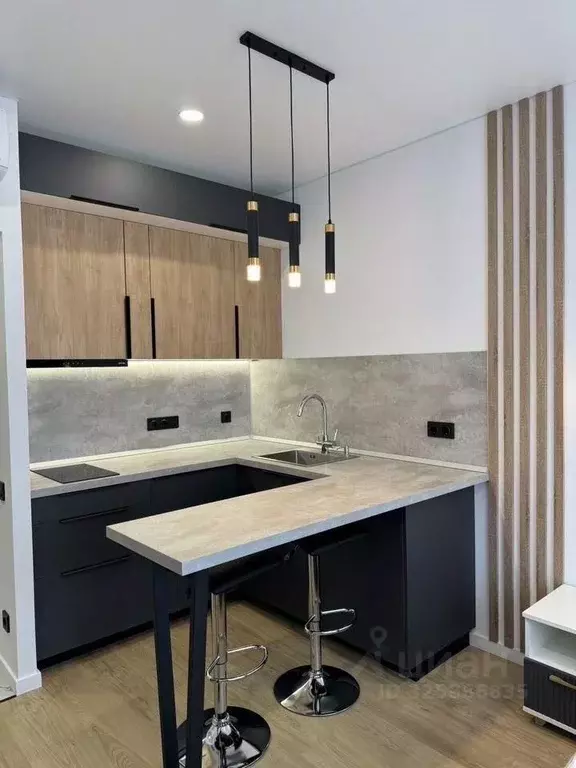 Студия Москва ул. Руставели, 16к2 (25.0 м) - Фото 2