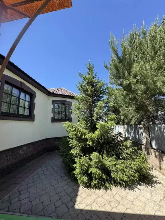 Дом в Оренбургская область, с. Октябрьское ул. Луговая, 26 (170 м) - Фото 1