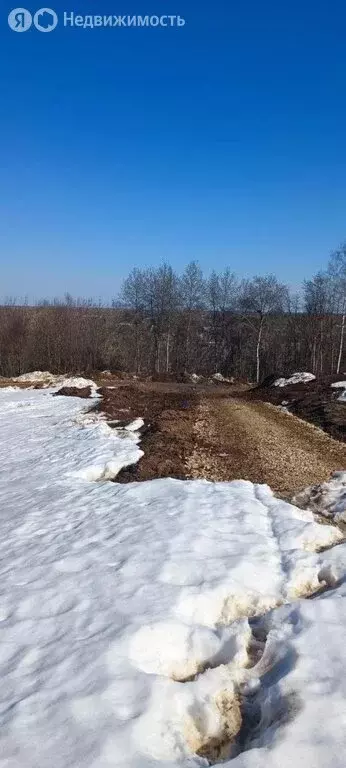 Участок в деревня Афонино, Родниковая улица, 28 (5 м) - Фото 2