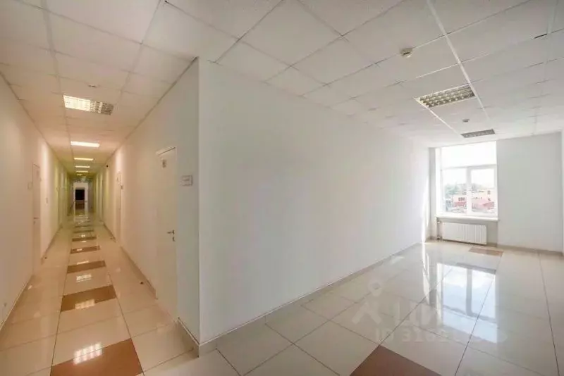 Офис в Санкт-Петербург ул. Швецова, 41 (49 м) - Фото 1