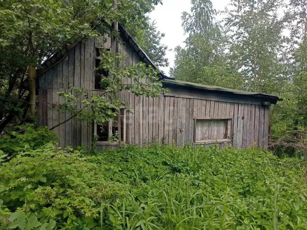 Участок в Санкт-Петербург Усть-Славянка тер., ул. Лесная (14.92 сот.) - Фото 0