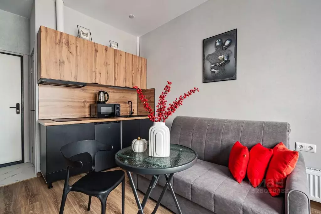 Студия Москва ул. Николая Озерова, 8к1 (20.0 м) - Фото 2