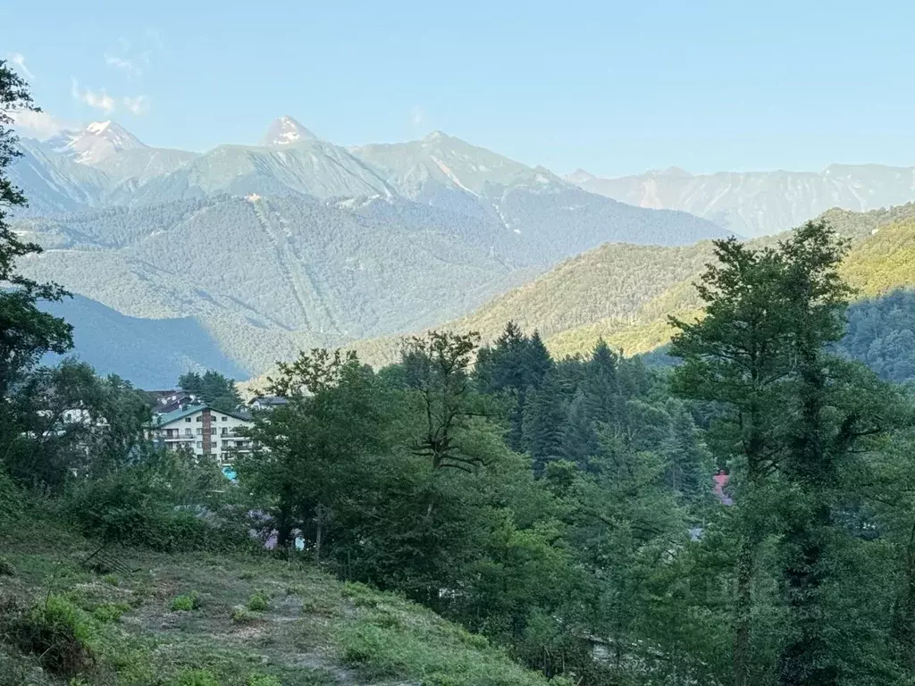 Участок в Краснодарский край, Сочи городской округ, Красная Поляна пгт ... - Фото 0