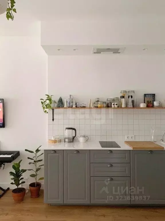 1-к кв. Новосибирская область, Новосибирск Трудовая ул., 25 (44.0 м) - Фото 1