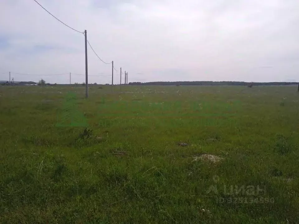 Участок в Саратовская область, Воскресенский район, Елшанское ... - Фото 2