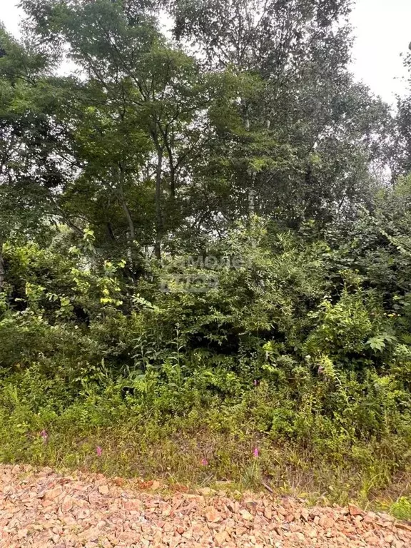 Участок в Приморский край, Надеждинский район, Аргус СНТ ул. 18-я ... - Фото 1