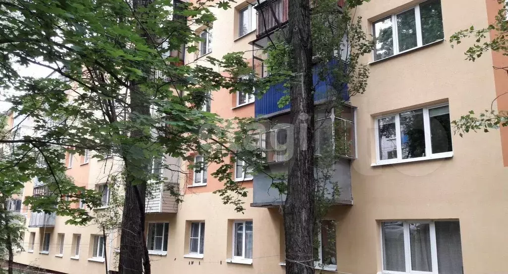 3-к. квартира, 61,6 м, 1/5 эт. - Фото 1