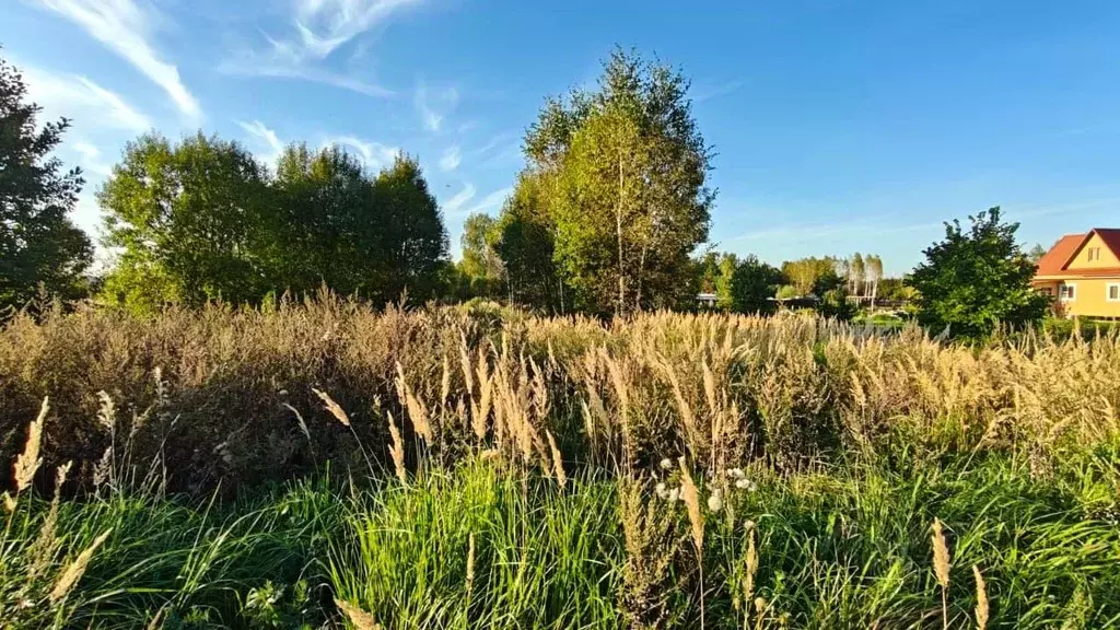 Участок в Московская область, Рузский муниципальный округ, д. Комлево ... - Фото 2