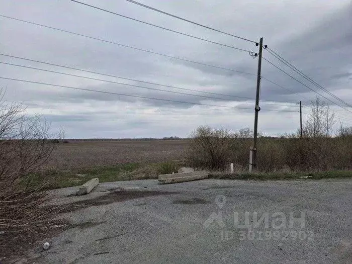 Участок в Тюменская область, Тюменский район, с. Салаирка Новая ул. ... - Фото 0