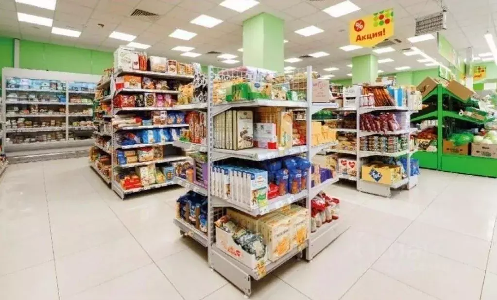 Торговая площадь в Санкт-Петербург Народная ул., 39 (1140 м) - Фото 2