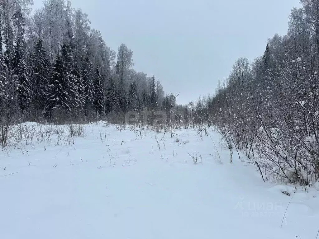 Участок в Кировская область, Кирово-Чепецкий район, с. Бурмакино  ... - Фото 1