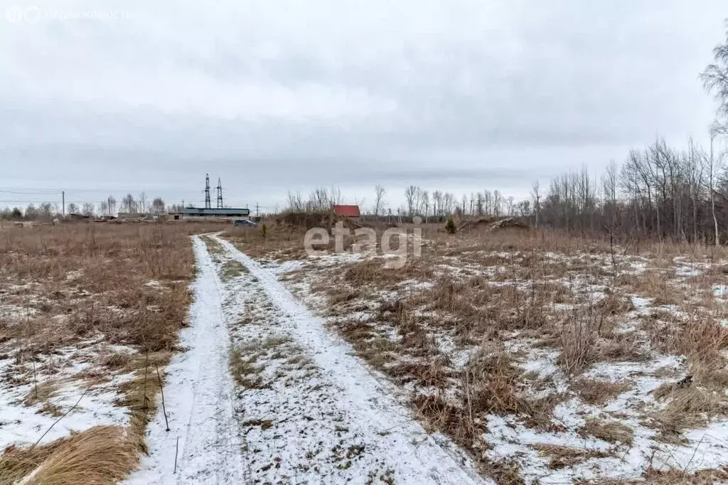 Участок в Первомайский район, посёлок Новый, 1-я Парковая улица (12 м) - Фото 1