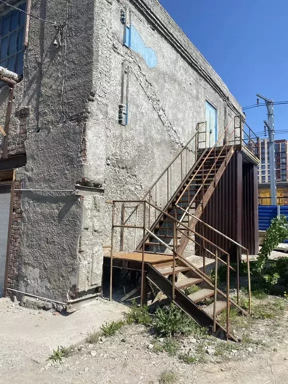 Помещение свободного назначения в Новосибирская область, Новосибирск ... - Фото 1