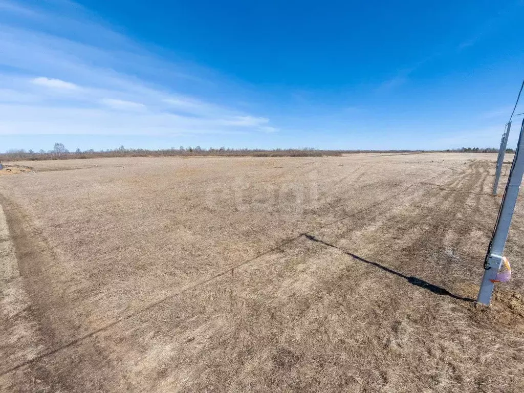 Участок в Тюменская область, Тюмень  (7.12 сот.) - Фото 1