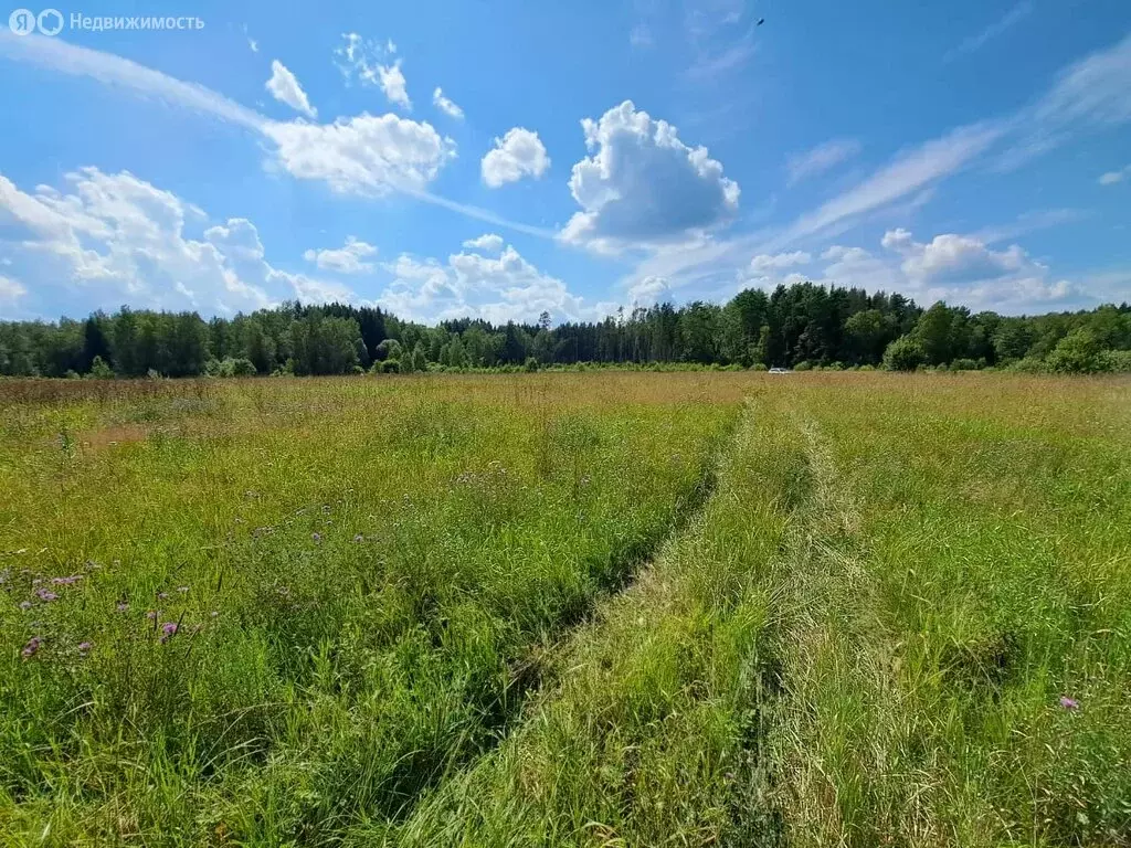 Участок в Московская область, городской округ Чехов, территориальный ... - Фото 1