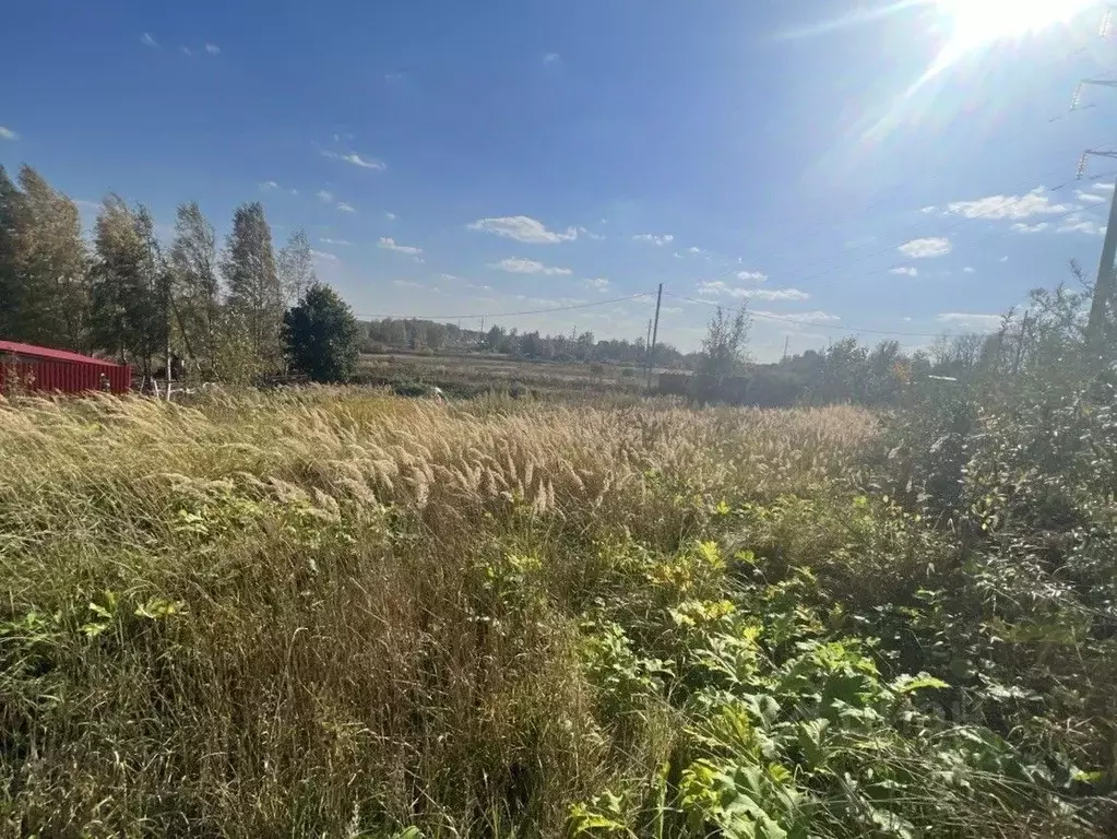 Участок в Московская область, Дмитровский городской округ, д. Ермолино ... - Фото 1