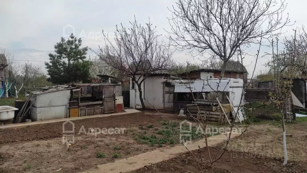 Дом в Волгоградская область, Волгоград Янтарь СНТ,  (32 м) - Фото 0