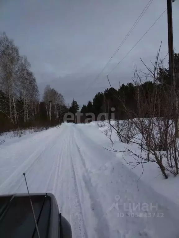 участок в алтайский край, первомайский район, с. бобровка песчаный . - Фото 1