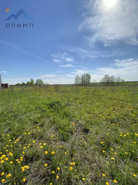 Участок в Вологодская область, д. Кулеберево  (14.6 сот.) - Фото 1