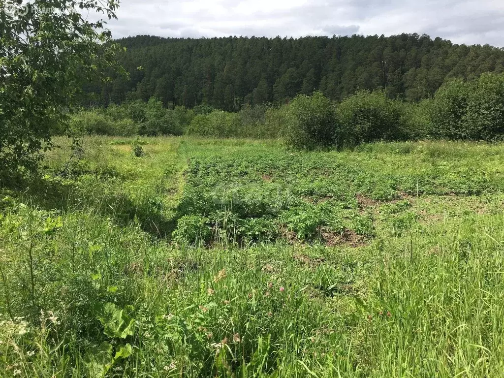 Участок в Куса, Красногвардейская улица (10.49 м) - Фото 1