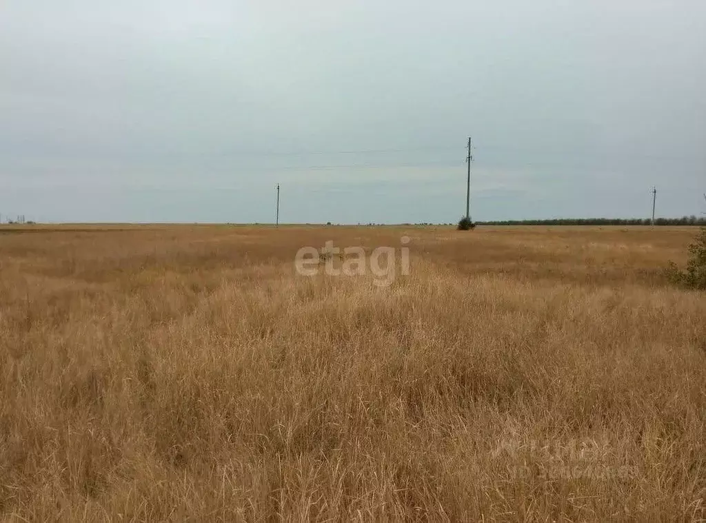 участок в крым, евпатория ул. виноградная (22.0 сот.) - Фото 0