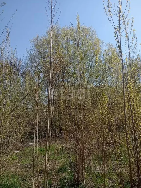 Участок в Воронежская область, Воронеж ул. МОПРА (8.0 сот.) - Фото 0