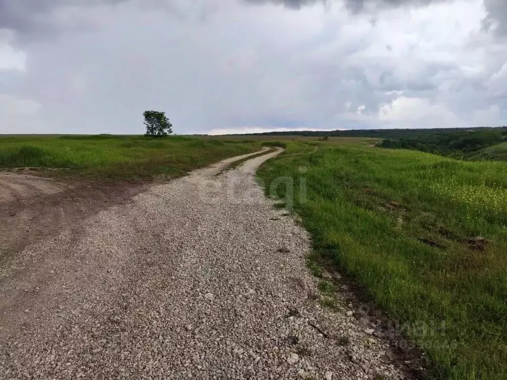 Участок в Крым, Симферопольский район, с. Чистенькое  (6.0 сот.) - Фото 1