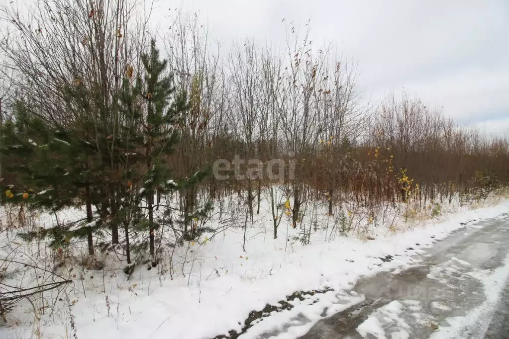 Участок в Свердловская область, Горноуральский городской округ, с. ... - Фото 1