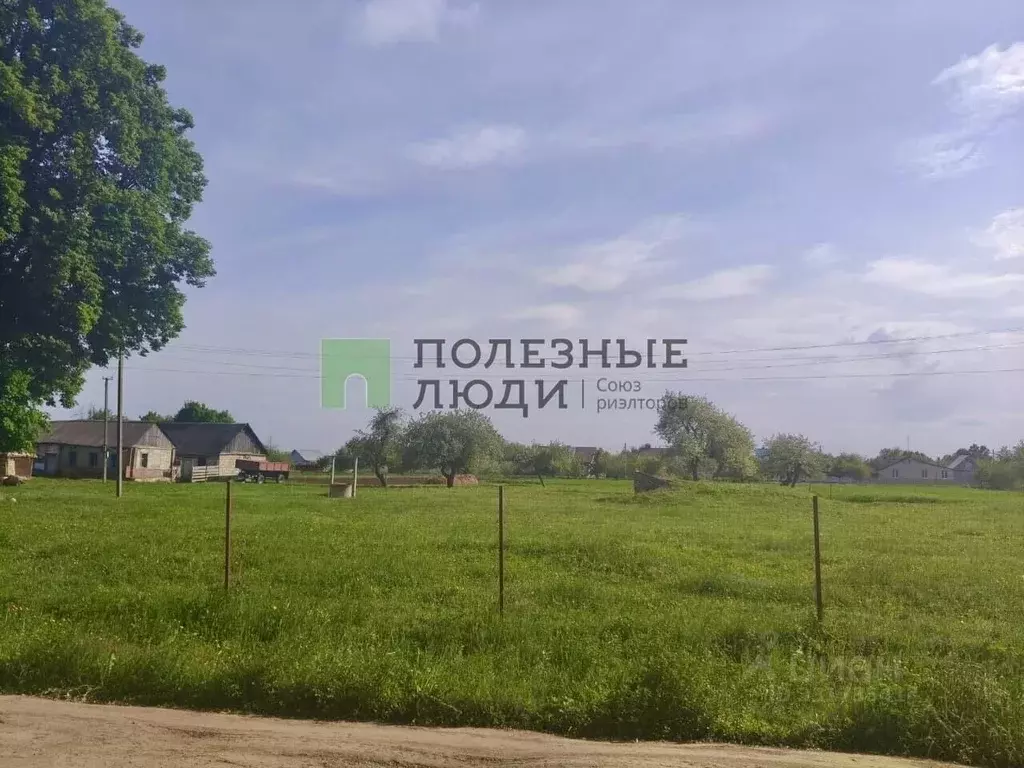 Участок в Орловская область, Орловский муниципальный округ, с. ... - Фото 1