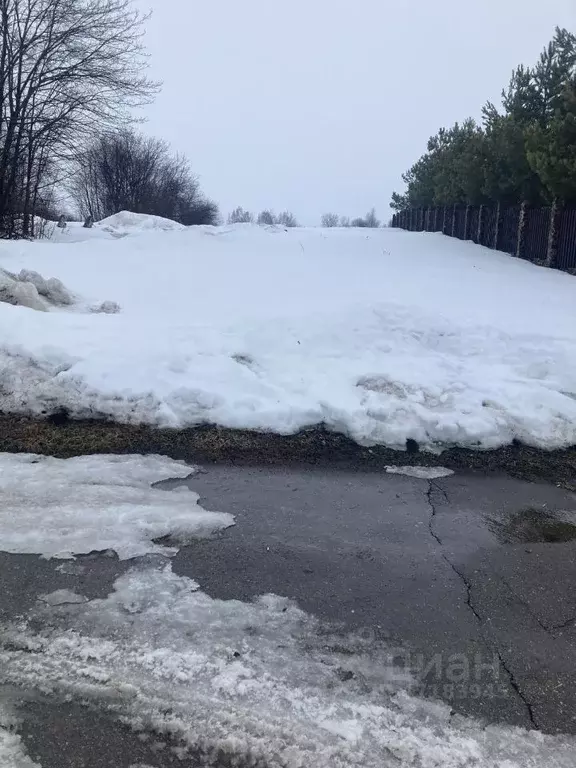 Участок в Нижегородская область, Дальнеконстантиновский муниципальный ... - Фото 1