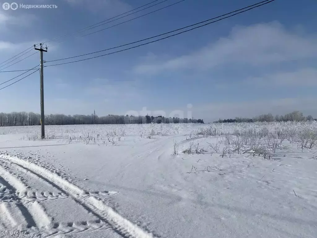 Участок в Лямбирский район, Берсеневское сельское поселение, село ... - Фото 0