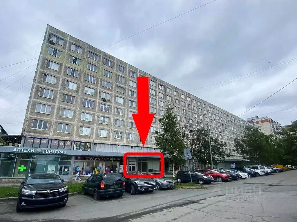 Помещение свободного назначения в Санкт-Петербург Народная ул., 5 (81 ... - Фото 1