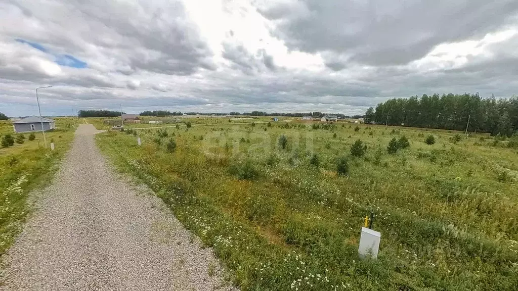 Участок в Тюменская область, Тюменский муниципальный округ, ... - Фото 1