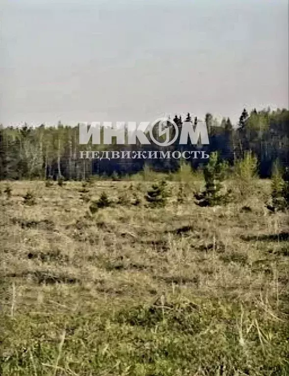 Участок в Московская область, Клин городской округ, д. Жестоки 57 ... - Фото 2