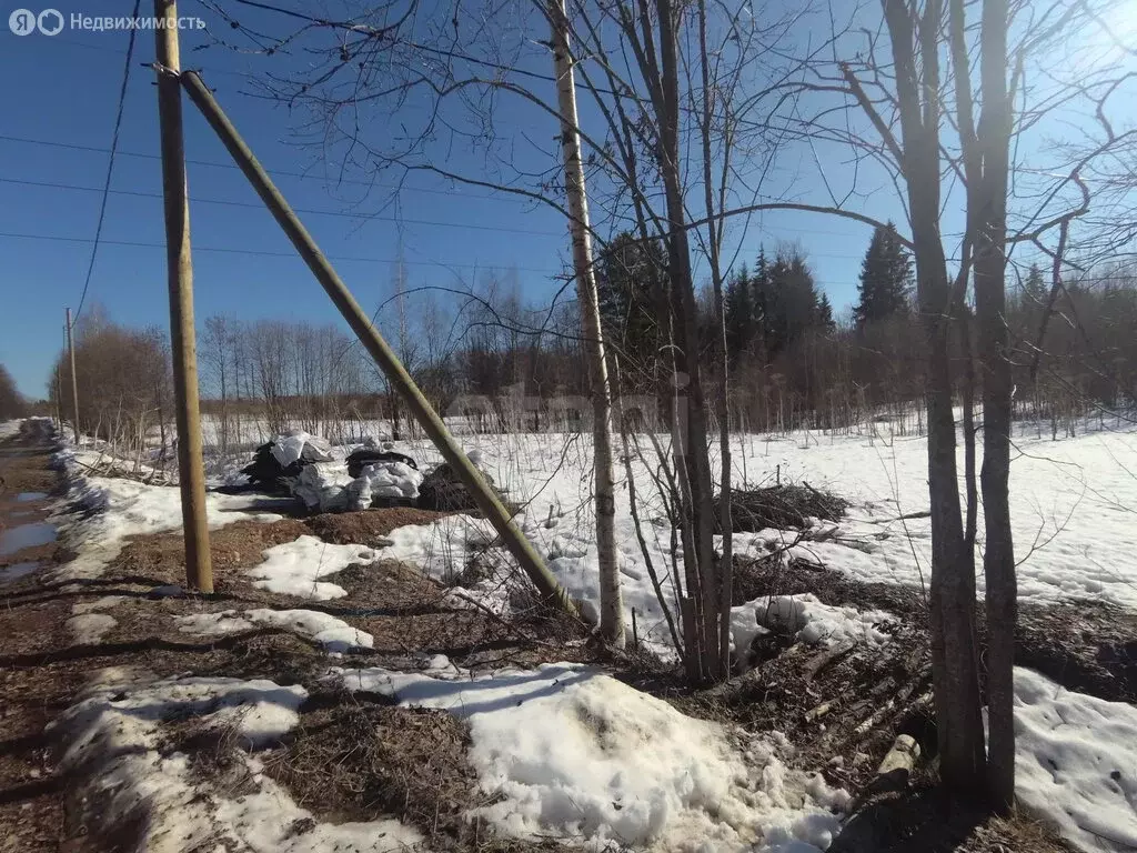 Участок в Республика Коми, муниципальный район Сыктывдинский, село ... - Фото 1