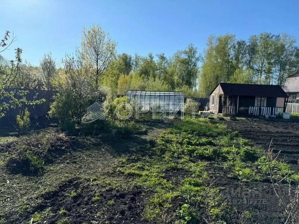 Дом в Тюменская область, Тюмень Автоприбор-2 СНТ, ул. Центральная (24 ... - Фото 1