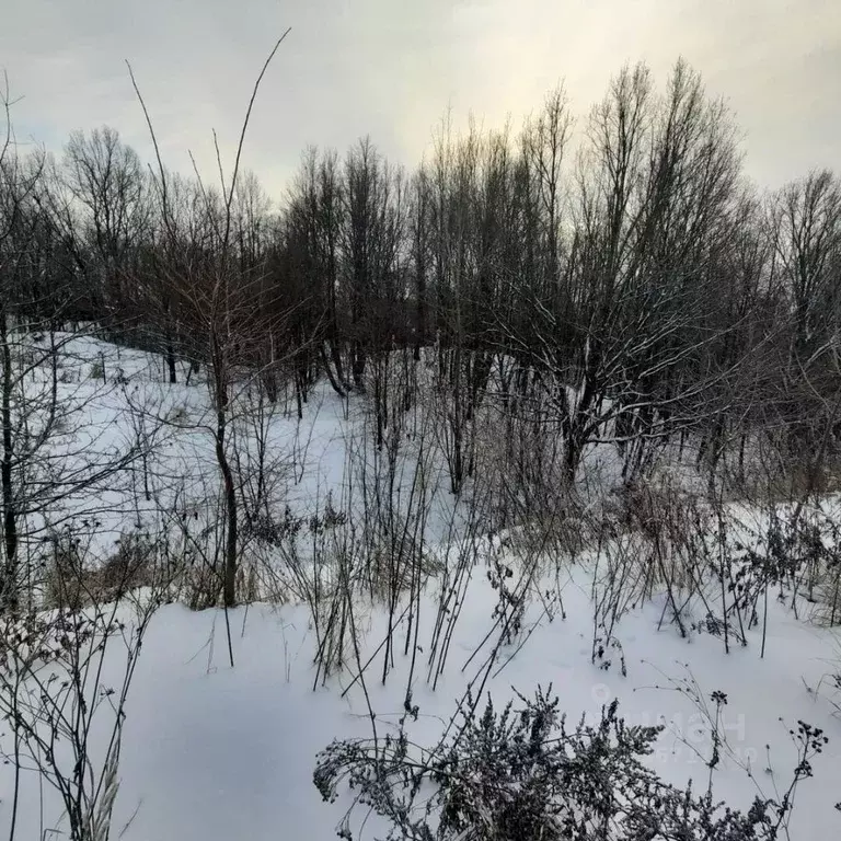 Участок в Ярославская область, Переславль-Залесский городской округ, ... - Фото 1