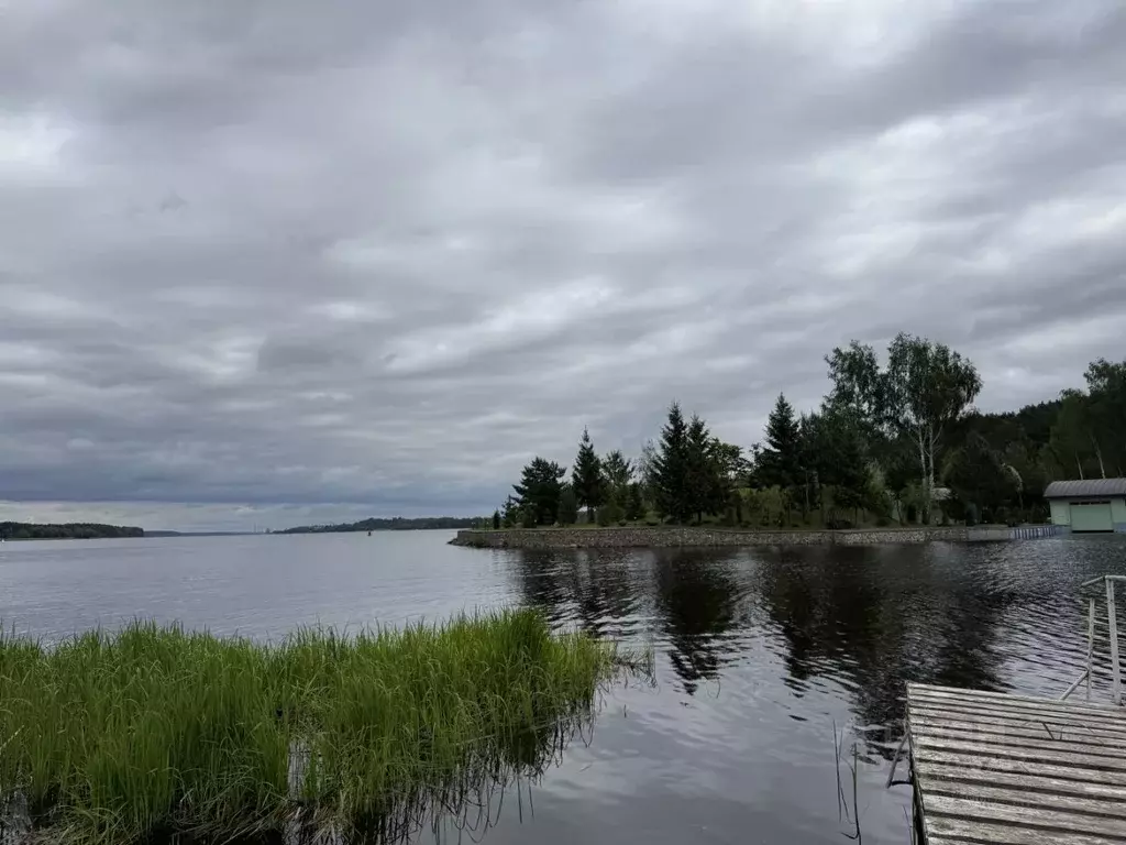 Участок в Тверская область, Конаковский муниципальный округ, д. ... - Фото 1
