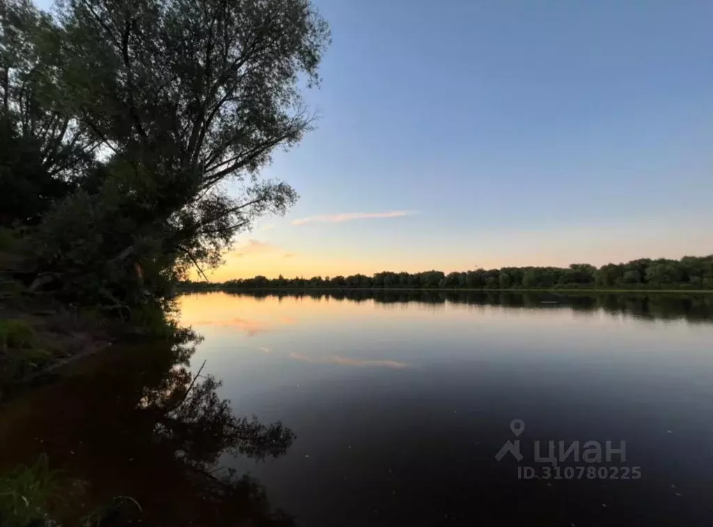 Участок в Новгородская область, Новгородский район, Бронницкое с/пос, ... - Фото 0