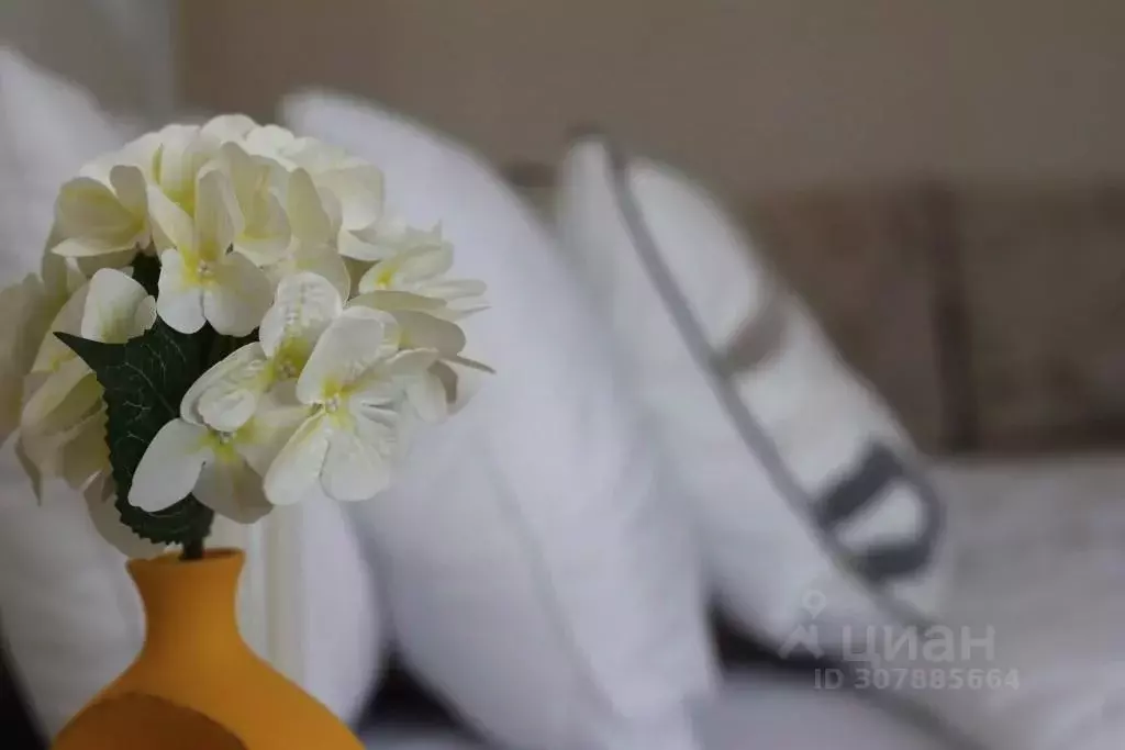 1-к кв. Саратовская область, Балаково ул. 30 лет Победы, 57 (54.0 м) - Фото 2