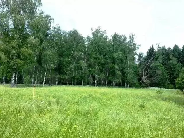Участок в Московская область, Одинцовский городской округ, пос. ... - Фото 0