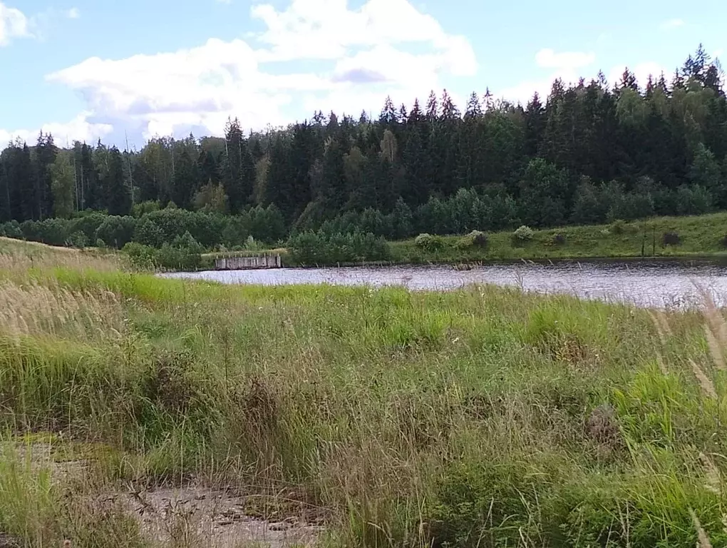 Участок в Московская область, Одинцовский городской округ, д. ... - Фото 2